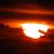 :iconfeuoiseau: