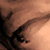 :iconfeverl8: