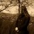 :iconfeyfolken-flavius: