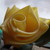 :iconfeyqueen91: