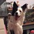 fezzlynn :iconfezzlynn: