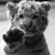 :iconFF001: