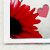 :iconfforgottenflower: