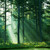 :iconffrules-girl14: