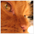:iconfhining: