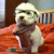 :iconfhmunk: