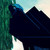 :iconfhsessions: