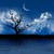 :iconfi-loves-gorillas: