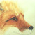 :iconfibergraphite: