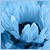 :iconfibradinylon: