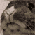 :iconfibrenoise: