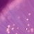 :iconfibreopticfireflies: