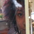 :iconficklefizz5: