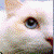 :iconfictionkitty: