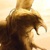 :iconfiery-griffin: