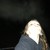 :iconfieryfilly: