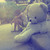 :iconfifichew: