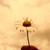 :iconfify4: