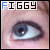 :iconfiggy-stock: