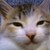 :iconfightingfoodon: