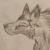 :iconfightydragonwolf: