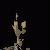 :iconfigo-ian: