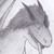 :iconfilfire: