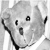 :iconfiliip: