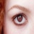 :iconfilledeloup: