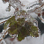 :iconfilling-down: