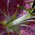 :iconfilm-and-flash: