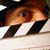 :iconfilmdirector:
