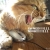:iconfinal-squall: