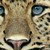 :iconfinalfantasyluva77: