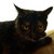 :iconfinalmonk: