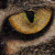 :iconfinasetsuna: