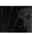 :iconfinch86: