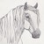 :iconfind-a-way: