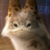 :iconfindichsehrgut: