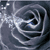 :iconfinding-fantasy: