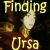:iconfinding-ursa: