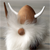 :iconfindintranslation: