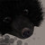 :iconfindmeawayout: