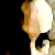 :iconfindulas: