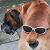 :iconfine-be-that-way: