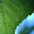 :iconfinepix-at: