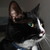 :iconfinfin84: