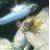 :iconfingolfinslady: