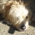 :iconfinilover: