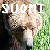 :iconfinland3plz: